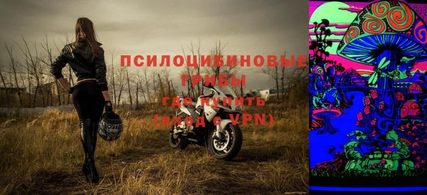 ГАЛЛЮЦИНОГЕННЫЕ ГРИБЫ Михайловск