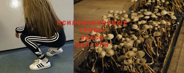 прущий лед Михайлов