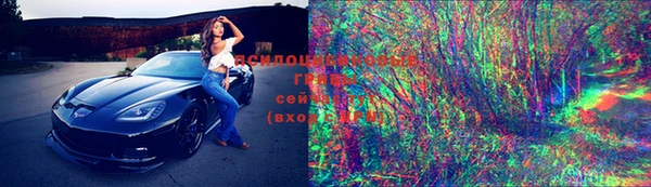 прущий лед Михайлов