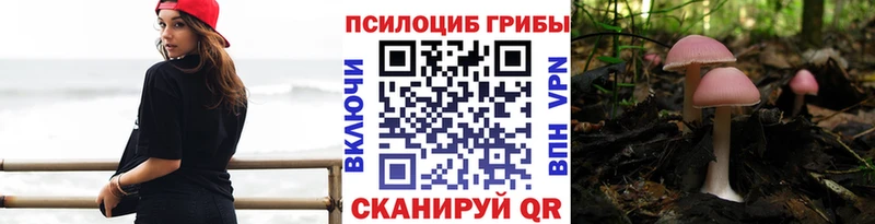 Псилоцибиновые грибы Psilocybe  Новочеркасск 