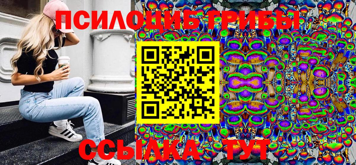 Псилоцибиновые грибы мицелий Новочеркасск
