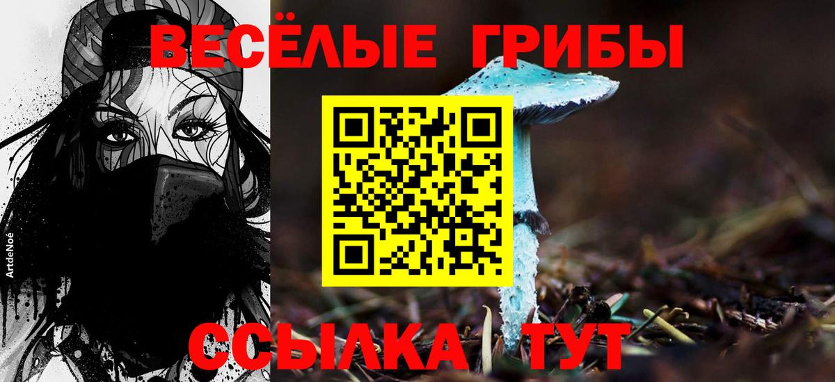 Новочеркасск  Галлюциногенные грибы ЛСД  Вход с VPN 